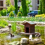 каскадас в54 * Sunny Beach